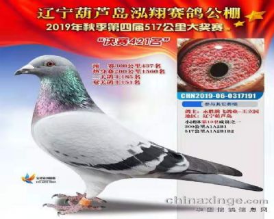 2019蹫ɼ