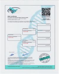 DNA