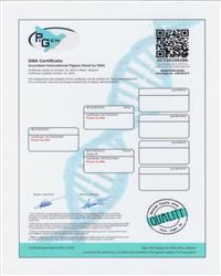 DNA