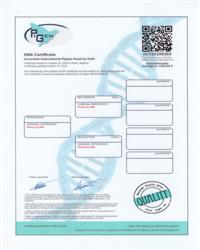 DNA