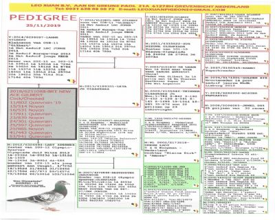 编 号: 667555                鸽 名: 利奥贺尔曼原舍