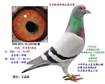 Qِ20Hꖣ