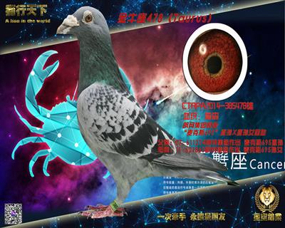 ��ţ���������к�478��