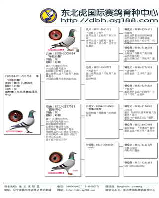 Ѫy(tng)