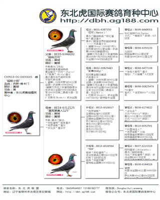 Ѫy(tng)