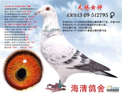 �n�ׂ�������