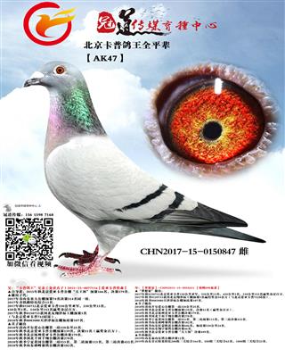 CHN2019-15-2010665