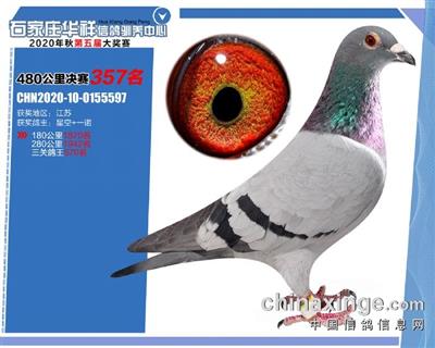 ʯ��ׯ���鹫�����357��