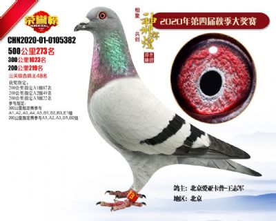 �����x�͹���Qِ273��