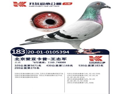 ��ɽ�_�����Ĺ���Qِ183��