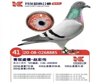 2020_ꠛQِ41