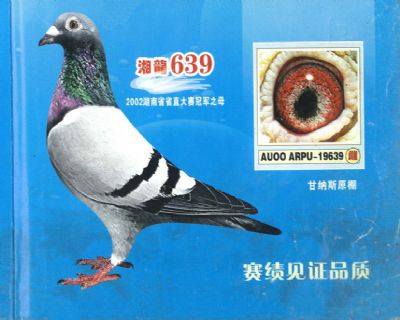 ʼ{˹639