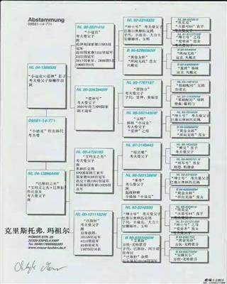 Ѫy(tng)