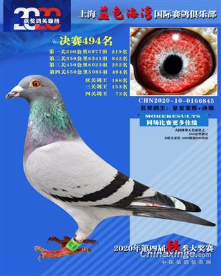 铁鸽三项公棚决赛125名