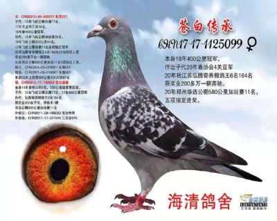 �n�ׂ���099