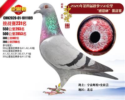 �����x�ͼ���293��