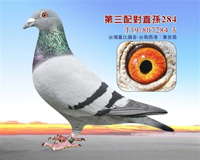 wȵ䌦ֱO