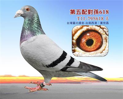 wȵ䌦O