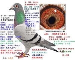 ĸHһNƣ