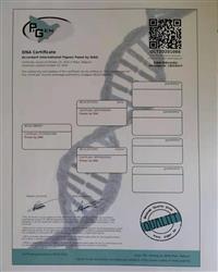 基因证书