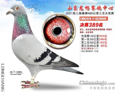613