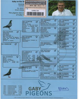 Ѫy(tng)