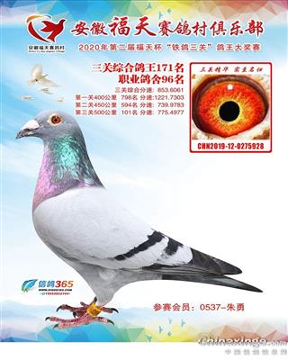 ʮŶӸ96λ