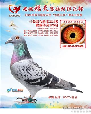 ʮŶӸ125λ