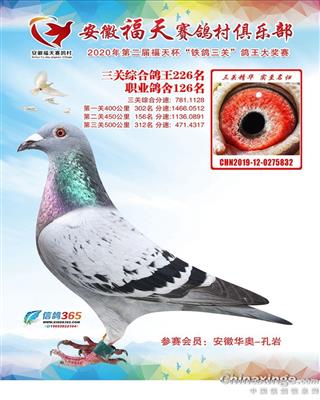 ʮŶӸ126λ