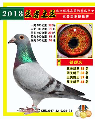 铭人堂鸽业 - 中信网铭鸽展厅 www.ag188.com