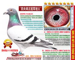 P(gun)܊游