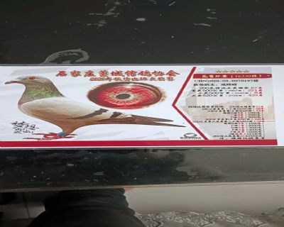 87