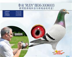?sh)? ></a><br>               
                <a  target=