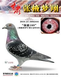 ĸH(qing)189