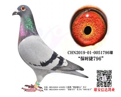 r796