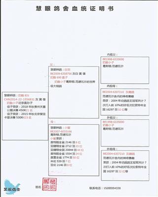 Ѫy(tng)