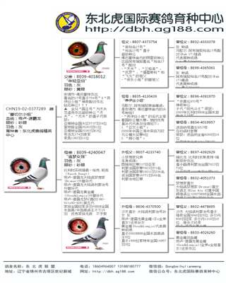 Ѫy(tng)(sh)