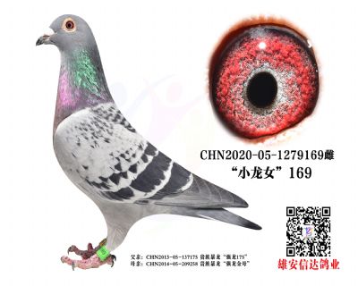 СŮ.169