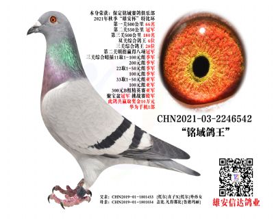 P(gun) 28λ