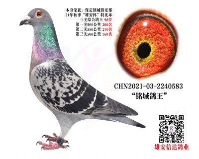 P(gun) 98λ