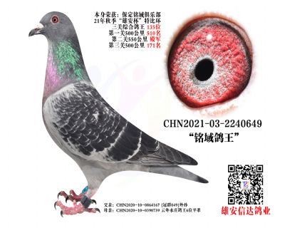 P(gun) 135λ