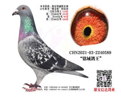 P(gun) 125λ