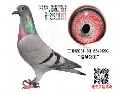 P(gun) 112λ