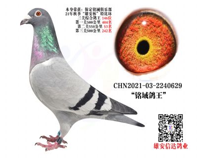 P(gun) 146λ