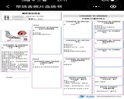 Ѫy(tng)