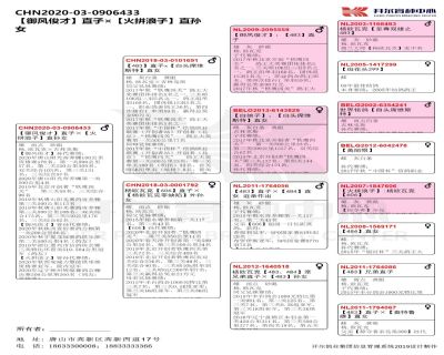 Ѫy(tng)