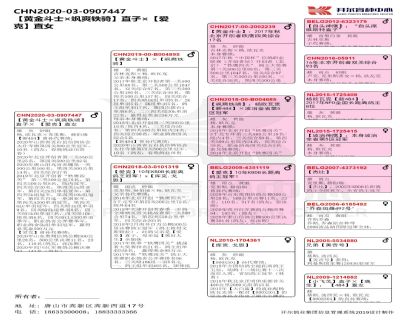 Ѫy(tng)