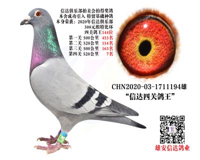 _(d)P(gun)144λ
