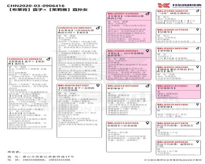 Ѫy(tng)