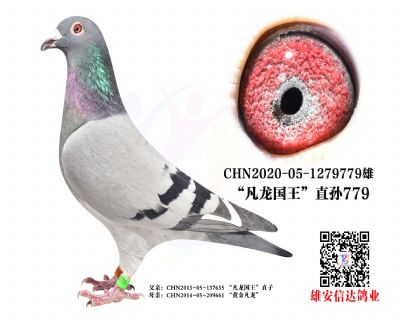 ֱO.779